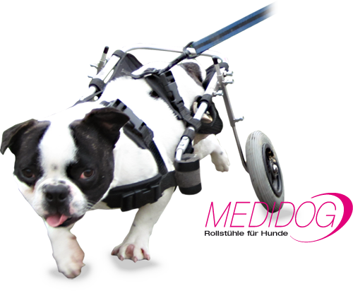Individueller Rollstuhlbau für Hunde